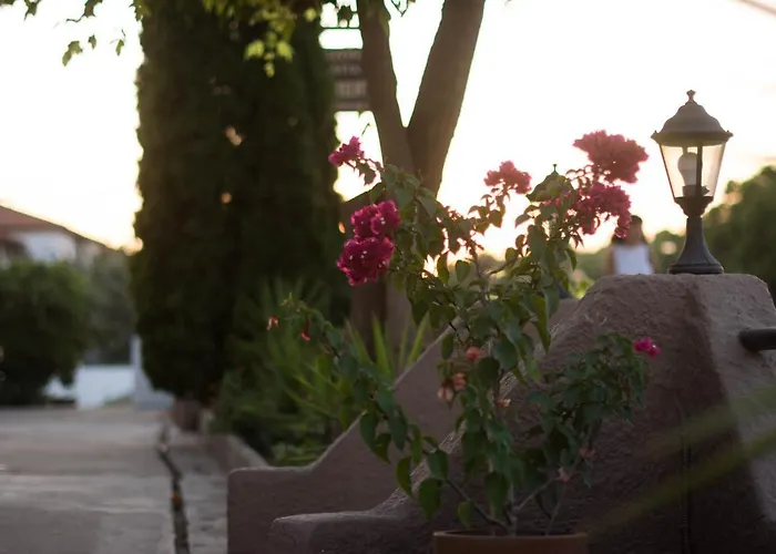 Appartamento Palm Tree Psakoudia