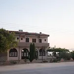 Palm Tree * Psakoudia