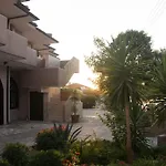 Palm Tree Psakoudia