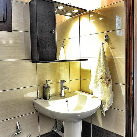 Palm Tree 사코우디아