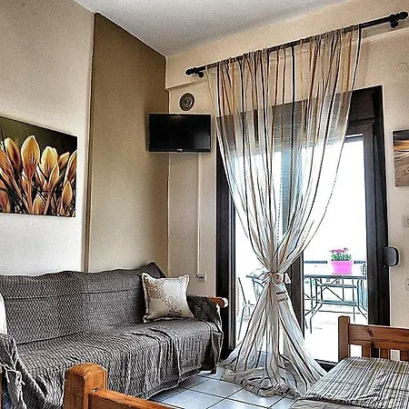 Palm Tree Apartament