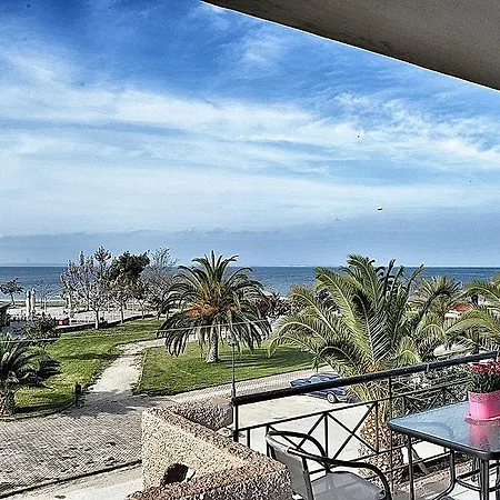 Apartament Palm Tree Psakoudia