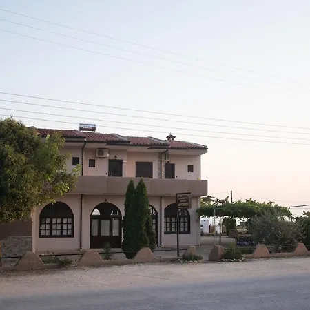 Palm Tree * بساكوذيا