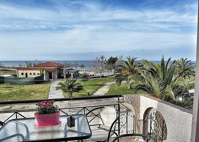 Palm Tree דירה *