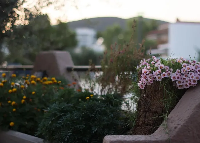 Palm Tree פסאקודיה