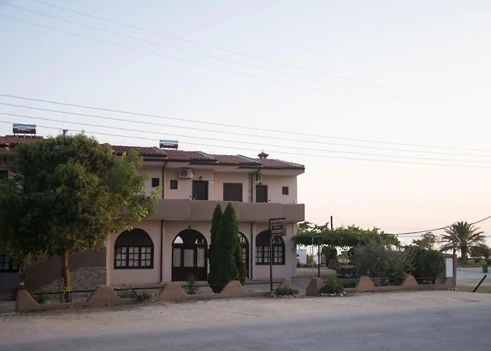 Palm Tree * פסאקודיה