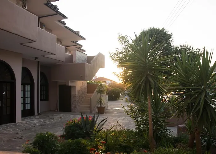 Palm Tree פסאקודיה