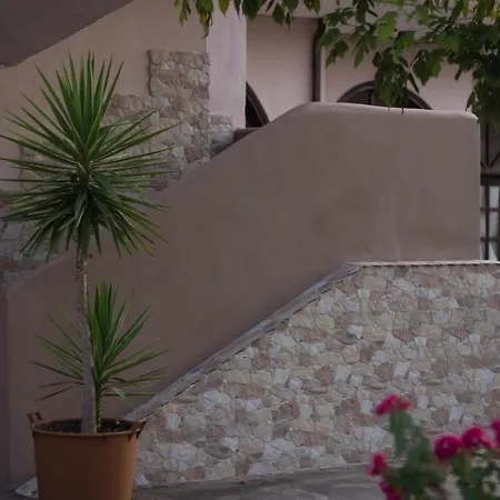 Palm Tree Διαμέρισμα *