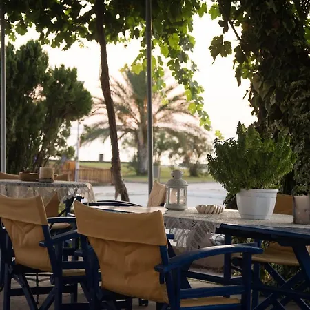 Διαμέρισμα Palm Tree