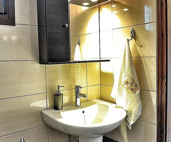 Palm Tree 普萨克迪亚